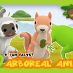 Witness21 Editor  2021 06 10