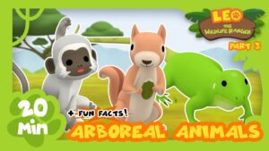 Witness21 Editor  2021 06 10