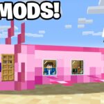 How To Live Inside an Axolotl in Minecraft Tutorial! (Easy) - Gameplay, Kingdom Kids Zone, Minecraft - EYstreem