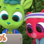 Reading about the forest | The Polos | Adventure Learning | Learn At Home - Kingdom Kids Zone, Little Learners - The Polos and MarcoPolo Learning