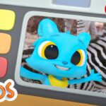 Learning about Zebra's | The Polos | Adventure Learning | Learn At Home - Kingdom Kids Zone, Little Learners - The Polos and MarcoPolo Learning