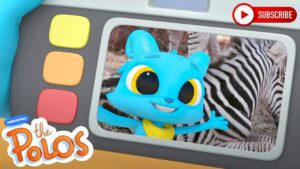 Learning about Zebra's | The Polos | Adventure Learning | Learn At Home - Kingdom Kids Zone, Little Learners - The Polos and MarcoPolo Learning