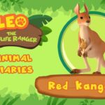 Witness21 Editor  2021 07 17