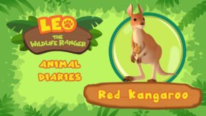 Witness21 Editor  2021 07 17