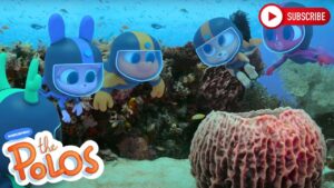 Learning about the ocean | The Polos | Adventure Learning | Learn At Home - Kingdom Kids Zone, Little Learners - The Polos and MarcoPolo Learning
