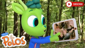 Learning about different plants | The Polos | Adventure Learning | Learn At Home - Kingdom Kids Zone, Little Learners - The Polos and MarcoPolo Learning