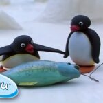Pingu Goes Fishing With His Family! 🐟 @Pingu 1 Hour | Cartoons for Kids - Kids (0-5), Kingdom Kids Zone - Pingu - Official Channel