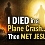 Witness21 Editor  2021 07 28