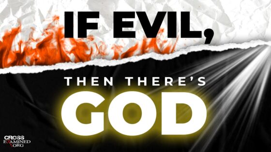 Evil actually proves God exists. Watch this! - Suffering & Evil, Truth Seekers - Cross Examined