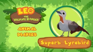 Witness21 Editor  2021 07 31