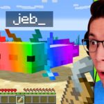 Testing Viral TikTok Minecraft Hacks To See If They’re Clickbait - Gameplay, Kingdom Kids Zone, Minecraft - EYstreem