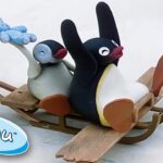 Pingu & Pinga Play On An Aeroplane! @Pingu | Cartoons For Kids - Kids (0-4), Kingdom Kids Zone - Pingu - Official Channel