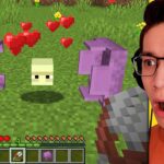 Testing Minecraft Secrets That Are 100% Real - Gameplay, Kingdom Kids Zone, Minecraft - EYstreem