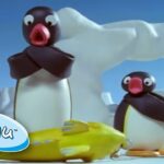Pingu Catches A Large Fish! 🐠 @Pingu | Cartoons For Kids - Kids (0-4), Kingdom Kids Zone - Pingu - Official Channel