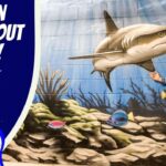 Cowboy in a hat poses beside an underwater mural featuring a large shark; left panel reads 'LEARN ALL ABOUT FISH!' and 'COWBOY JACK'.