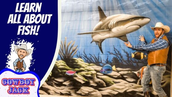 Cowboy in a hat poses beside an underwater mural featuring a large shark; left panel reads 'LEARN ALL ABOUT FISH!' and 'COWBOY JACK'.