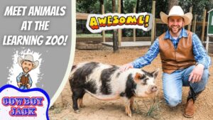 Man in a cowboy hat kneels beside a black-and-white pig in a fenced outdoor area, with an 'Awesome!' sign in the background and cartoon logo on the left side.