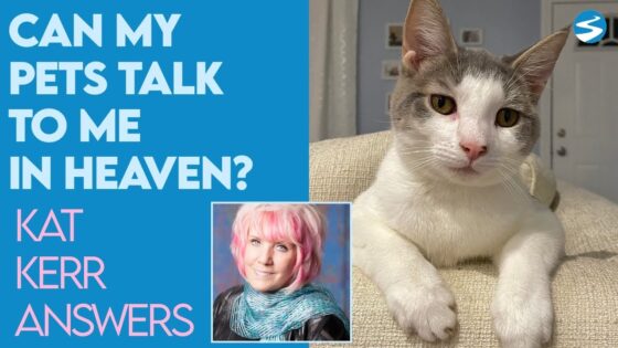 Kat Kerr Can My Pets Talk to Me in Heaven? | Jan 13 2021 - Encounters, Heaven Trip, Testimonies - ElijahClips