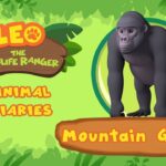 Witness21 Editor  2021 08 21