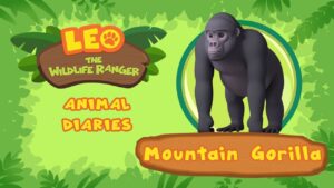 Witness21 Editor  2021 08 21