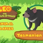 Witness21 Editor  2021 08 12