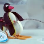 Pingu And His Dad Go Fishing! @Pingu Cartoons for Kids - Kids (0-4), Kingdom Kids Zone - Pingu - Official Channel