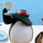 Pingu And His Friends Win A Trophy! @Pingu | Cartoons for Kids - Kids (0-4), Kingdom Kids Zone - Pingu - Official Channel
