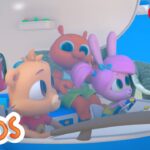 Learning about wild animals | The Polos | Adventure Learning | Learn At Home - Kingdom Kids Zone, Little Learners - The Polos and MarcoPolo Learning