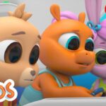 Learning about the sea | The Polos | Adventure Learning | Learn At Home - Kingdom Kids Zone, Little Learners - The Polos and MarcoPolo Learning