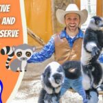 Smiling man in a cowboy hat with two lemurs perched on his arms, beside an orange sign that says 'INTERACTIVE AQUARIUM AND ANIMAL PRESERVE' and a 'COWBOY JACK' logo.