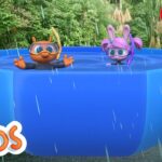 Learning how to dive | The Polos | Adventure Learning | Learn At Home - Kingdom Kids Zone, Little Learners - The Polos and MarcoPolo Learning