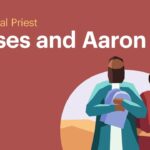 Witness21 Editor  2021 08 24