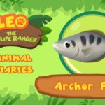 Witness21 Editor  2021 08 20