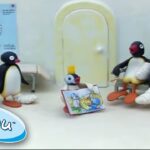 Pingu And His Family Learn About The World! @Pingu 1 Hour | Cartoon For Kids - Kids (0-5), Kingdom Kids Zone - Pingu - Official Channel