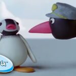 Pingu And The Officer! @Pingu Cartoon For Kids - Kids (0-4), Kingdom Kids Zone - Pingu - Official Channel