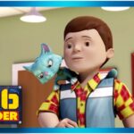 Bob the Builder 🐱 Cats and Dogs! 🐶 New Episodes | Cartoons For Kids - Kids (0-4), Kingdom Kids Zone - Bob the Builder