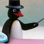 Pingu And The Magician! @Pingu Cartoons For Kids - Kids (0-4), Kingdom Kids Zone - Pingu - Official Channel