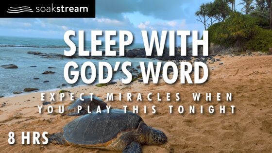 EXPECT MIRACLES! Sleep With God's Word – With Rain, Thunder, & Ocean Waves - Hope & Healing, Meditations - SOAKSTREAM - Healing Scriptures