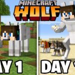 I Survived 100 Days as a Wolf in Minecraft - Gameplay, Kingdom Kids Zone, Minecraft - EYstreem