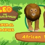 Witness21 Editor  2021 09 04