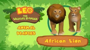 Witness21 Editor  2021 09 04