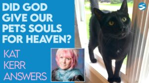 Kat Kerr: Did God Give Our Pets Souls So They Could Be In Heaven? | July 14 2021 - Encounters, Heaven Trip, Testimonies - ElijahClips