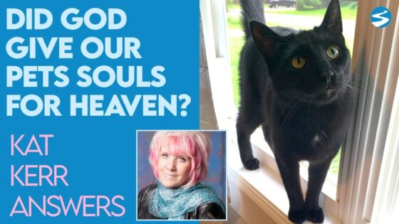 Kat Kerr: Did God Give Our Pets Souls So They Could Be In Heaven? | July 14 2021 - Encounters, Heaven Trip, Testimonies - ElijahClips