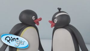 Pingu And His Friends Have Fun In The Snow! @Pingu | Pingu in the City - Kids (0-5), Kingdom Kids Zone - Pingu - Official Channel