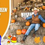 Cowboy Joe sits on hay bales with pumpkins and Halloween decor; left panel reads 'Fall Halloween Fun!' with a 'Cowboy Jack' cartoon logo.