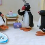 Pingu And The Doctor! @Pingu | 1 Hour | Cartoons for Kids - Kids (0-4), Kingdom Kids Zone - Pingu - Official Channel