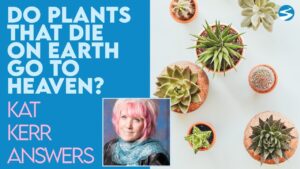 Kat Kerr: When Plants Die On Earth, Do They Go To Heaven? | July 28 2021 - Encounters, Heaven Trip, Testimonies - ElijahClips
