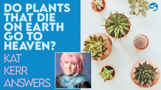 Kat Kerr: When Plants Die On Earth, Do They Go To Heaven? | July 28 2021 - Encounters, Heaven Trip, Testimonies - ElijahClips