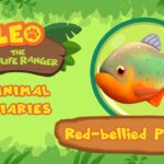 Witness21 Editor  2021 10 23