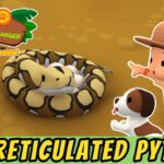 Witness21 Editor  2021 10 15